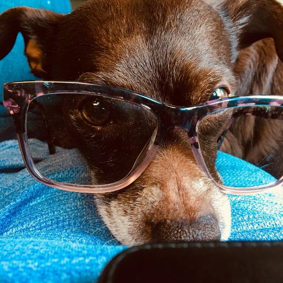 Meet your Posher, Melanie - Picture 1 of 1